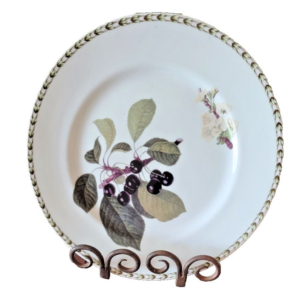 Queen's The Royal Horticultural Society~8 1/2" Hookers Fruit Plate~Hooker Fruit